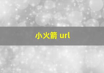 小火箭 url